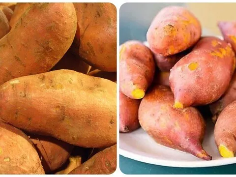 Thực phẩm giá rẻ bị “bỏ quên”: Ăn khoai lang mỗi ngày, cơ thể nhận về loạt lợi ích không ngờ
