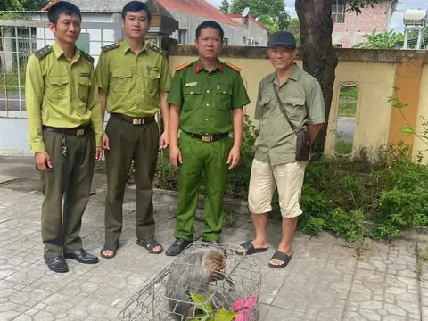 Cá thể khỉ mặt đỏ quý hiếm lạc vào nhà dân, hành động của chủ nhà gây chú ý