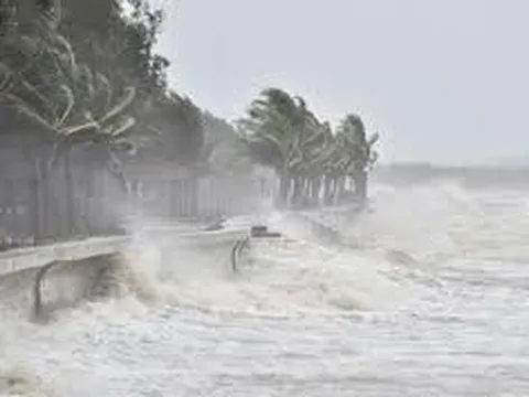 Cảnh báo: Bão Wipha có thể giật cấp 15, nhiều tỉnh thành sẽ có mưa lớn