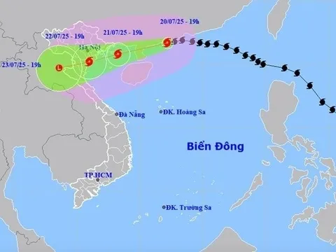 Nhiều trường thông báo nghỉ học gấp vì bão Wipha