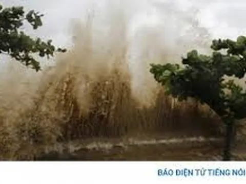 Nguy cơ ngập sâu: Di dời hàng chục hộ dân tại phường Nam Định để đảm bảo an toàn tránh bão số 3