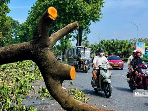 Hà Nội: Cây xanh gãy đổ vẫn ngổn ngang trên đường phố