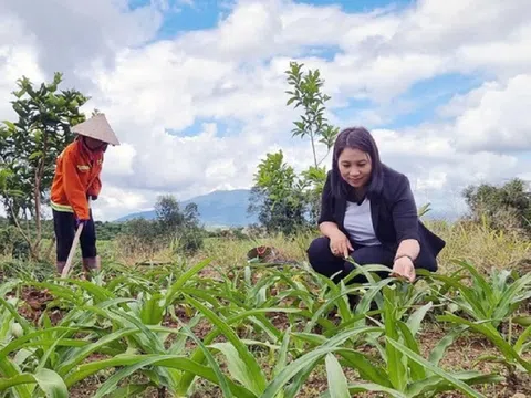 Nữ nông dân khởi nghiệp từ 1,2 triệu đồng, giờ thu lãi cả tỷ đồng/năm nhờ "mát tay" với việc này