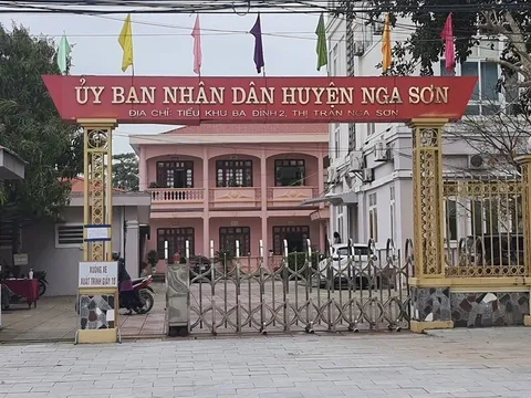 Ban QLDA ĐTXD huyện Nga Sơn (Thanh Hóa): Gói thầu xử lý sự cố sạt lở đê trị giá 69,9 tỷ đồng, tiết kiệm 0,04% thuộc về ai?