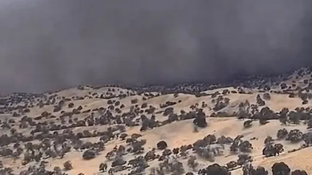 Clip: Cận cảnh đường đi khủng khiếp của bão bụi Habood, khiến 15 nghìn  người dân ở Mỹ bị mất điện