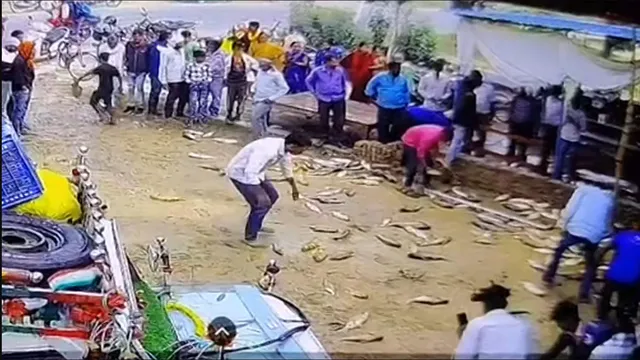 Clip: Thót tim cảnh xe chở cá mất lái, lao thẳng vào tường