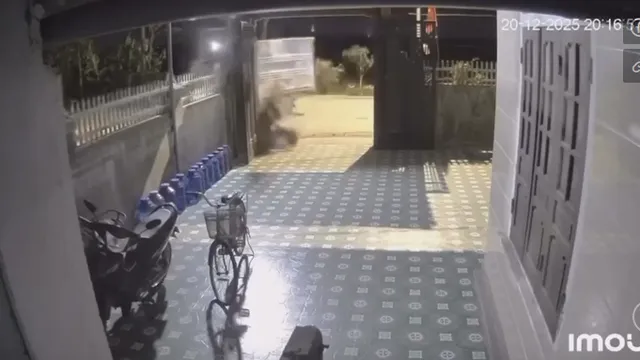 Khoảnh khắc nam thanh niên đi xe máy bị hất văng vắt vẻo lên hàng rào nhà ven đường khiến ai cũng xót xa