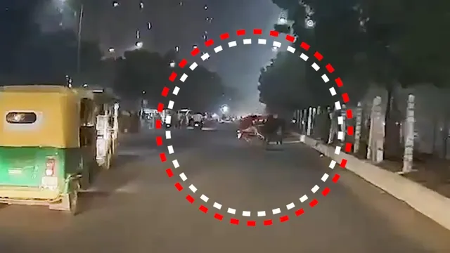 Video: Trâu "điên" lao ra giữa đường, húc ngã xe máy