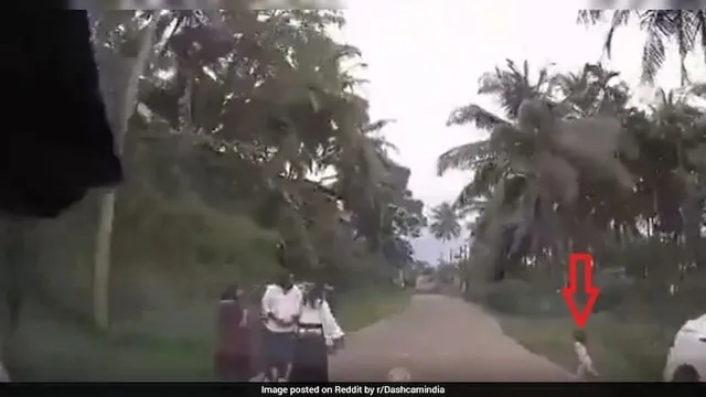 Camera hành trình ghi lại cảnh bé trai suýt bị ô tô tông trúng, phụ huynh giật mình tỉnh ngộ