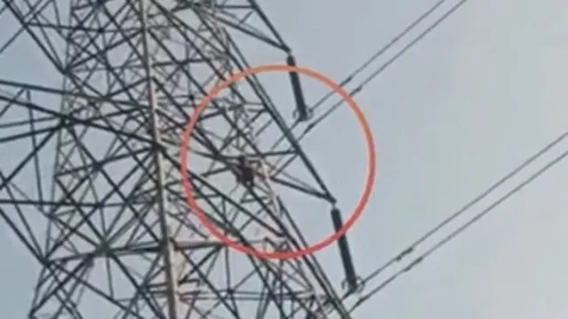 Clip: Nam thanh niên leo cột điện sau khi bị từ chối kết hôn