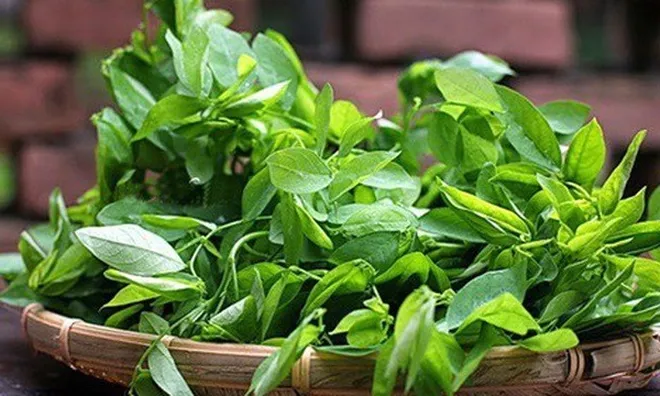Loại rau quen mặt trong mâm cơm Việt, 10.000/bó bán đầy chợ lại chứa “kho” vitamin ít ai biết tới