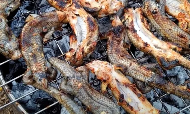 Con vật nhỏ xíu ở miền Tây, nhiều người thấy là "khóc thét" nhưng lên bàn nhậu lại "cháy hàng"