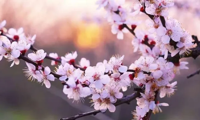 Đời này có rực rỡ hay không thì có một thứ bạn nhất định phải đầu tư