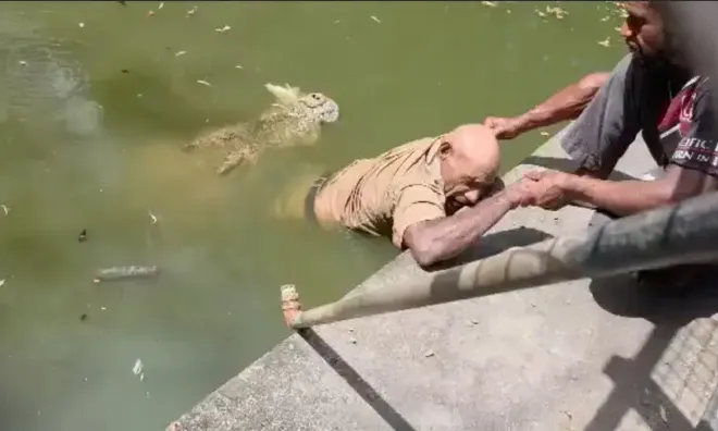 Vụ nhân viên tử vong sau khi bị cá sấu ngoạm chân, kéo xuống hồ: Camera ghi lại phút kinh hãi