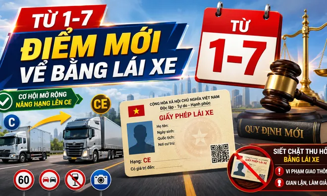 Bổ sung thêm hành vi bị thu hồi giấy phép lái xe từ 1/7