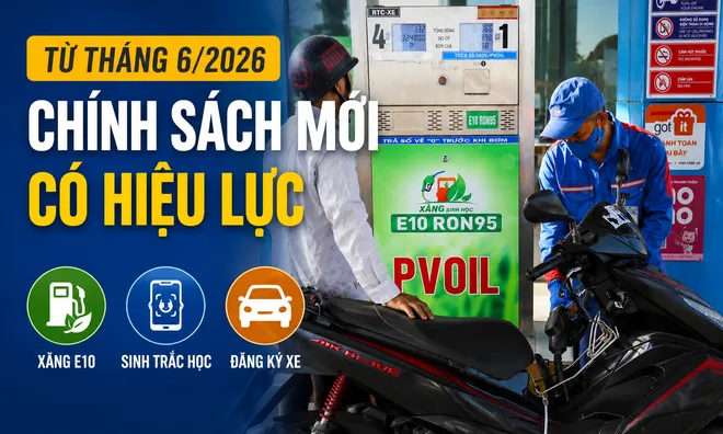 Loạt chính sách mới có hiệu lực từ tháng 6/2026: Bắt buộc bán xăng E10, siết xác thực thuê bao