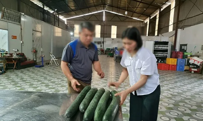 Vụ tuồn thịt lợn bệnh vào trường mầm non ở Thái Nguyên: hé lộ khoản 'hoa hồng' cho hiệu trưởng