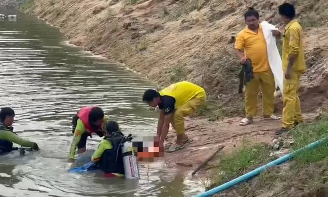 Dẫn trâu đi ăn cỏ, người đàn ông chết lặng khi nhận ra "người quen" nhờ một "vật thể lạ" bên bờ ao