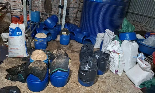 Cận cảnh "xưởng" sản xuất hơn 500 tấn giá đỗ bằng hóa chất độc hại của Chu Thị Hòa: Những gì diễn ra bên trong khiến nhiều người rùng mình