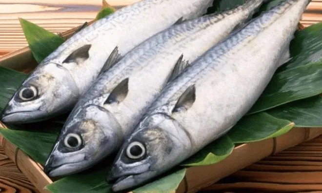 4 loại cá quen thuộc nhưng được ví như “liều thuốc tự nhiên”, nhiều người Việt đang bỏ qua