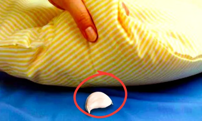Tại sao nhiều người đặt một củ tỏi dưới gối khi đi ngủ?