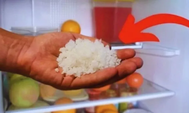 Đặt một bát muối vào tủ lạnh: Chúng có 4 lợi ích thiết thực nhà nào cũng thích