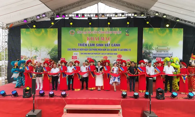 Thái Bình: Khai mạc triển lãm sinh vật cảnh các tỉnh đồng bằng sông Hồng