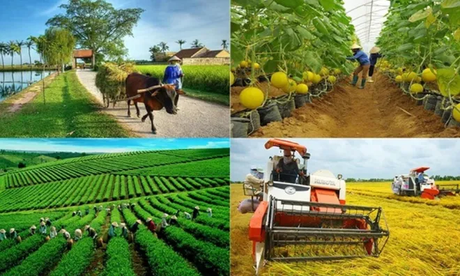 Bức tranh kinh tế - xã hội Quảng Ngãi 9 tháng đầu năm 2024 có nhiều điểm sáng