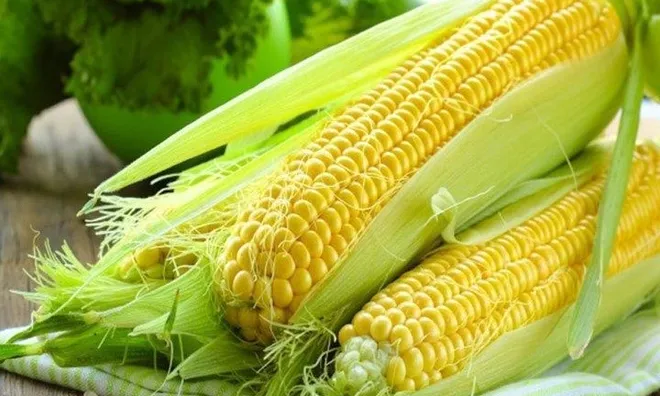 Bất ngờ 10 thực phẩm bình dân lại được chuyên gia đánh giá cao về chống lão hóa