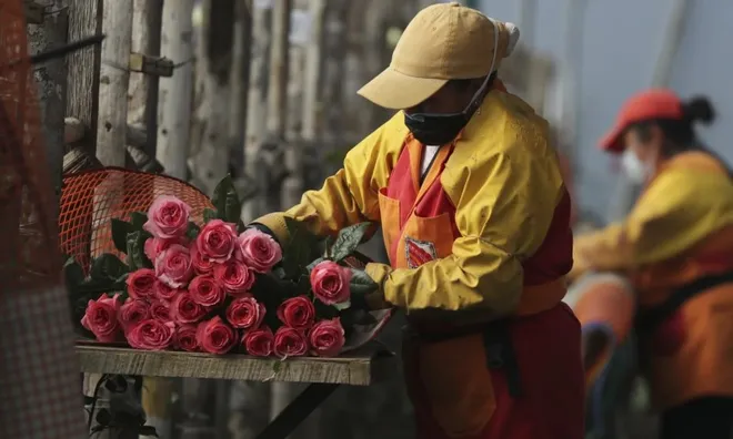 Mùa Valentine năm 2025 trên thế giới