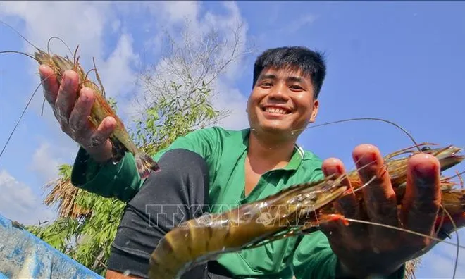 Nắm bắt cơ hội thị trường mới cho tôm Việt