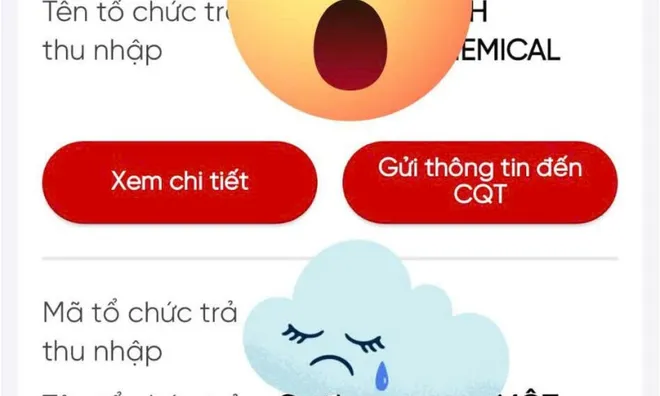 Bị DN khai khống thu nhập trăm triệu, ôm khoản nợ 'trên trời rơi xuống'