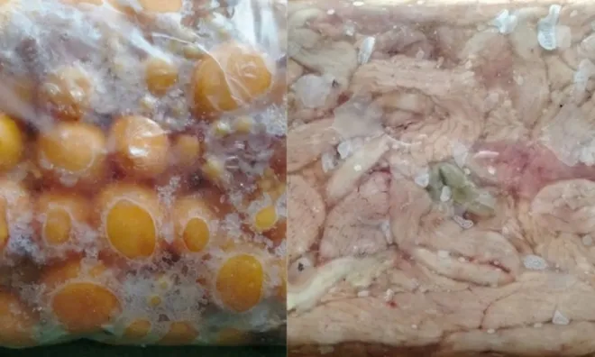 800kg trứng gà non, tràng gà đông lạnh không rõ nguồn gốc trong thùng xốp ở Hà Nội