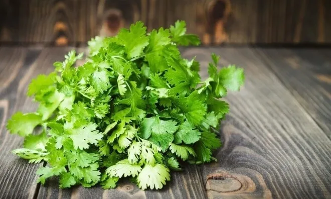 Mua nhiều rau mùi, đừng cho ngay vào tủ lạnh, thêm vài bước nữa để lâu vẫn tươi ngon tiết kiệm được cả đống tiền
