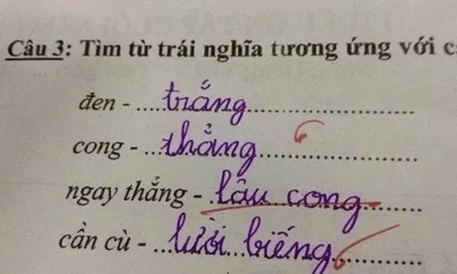 Bài tập tiếng Việt tìm từ trái nghĩa với "ngay thẳng", bé học sinh viết ra một đáp án khiến giáo viên hoang mang