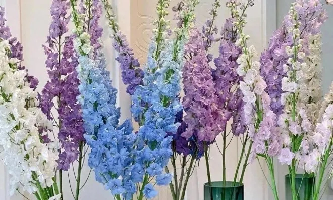 6 loại hoa đẹp sang bền hơn 30 ngày, Tết trưng một bình trong nhà đón tài lộc, may mắn cả năm