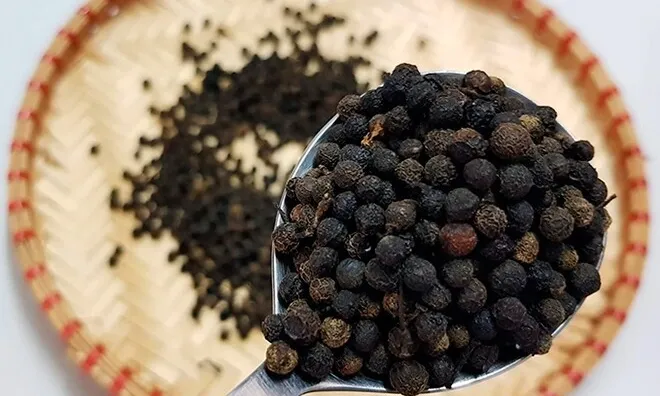 Loại quả chỉ có ở Tây Nguyên, nay thành đặc sản dịp Tết vì có mùi thơm đặc biệt, tốt cho sức khoẻ