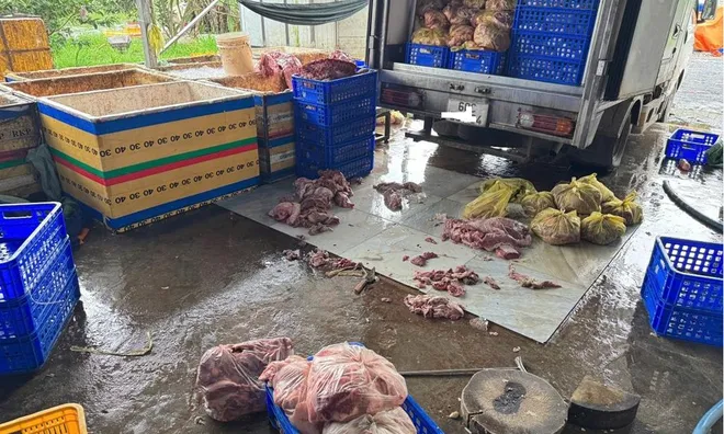 Rùng mình 4 tấn thịt lợn chết chuẩn bị “xuất xưởng” làm giò, chả, lạp xưởng, xúc xích