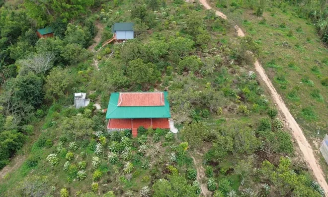Vụ tu thành tiên lừa đảo gần 100 tỷ đồng: Trách nhiệm của chính quyền địa phương thế nào?