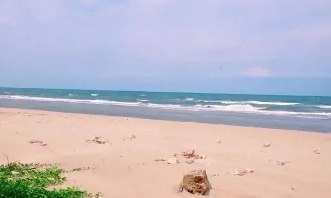Chồng bàng hoàng phát hiện thi thể vợ qua định vị: Nguyên nhân phía sau còn đau lòng hơn