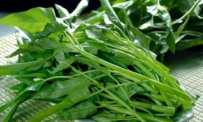 Loại rau giá rẻ đang vào mùa được ví như 'nhân sâm bình dân' của người Việt: Mang lại lợi ích sức khỏe đáng kinh ngạc