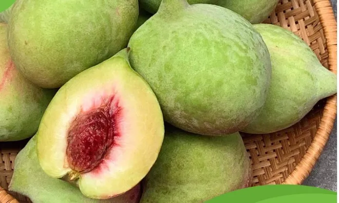 'Kẻ thù truyền kiếp' của quả đào: Tuyệt đối không ăn cùng nhau kẻo rước bệnh vào người, nhiều người không biết