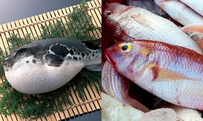 Mối nguy gắn liền với loài (thủy sản, động vật trên cạn, thực vật trên cạn) và tác hại của chúng