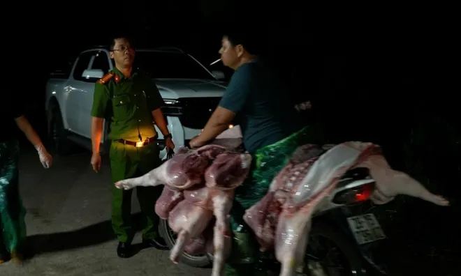 Bí bật hãi hùng về lò chuyên mổ, cung cấp lợn nhiễm dịch tả lợn châu Phi ở Hà Nội: Tiểu thương đến trực tiếp chọn, tiêu thụ cả nhà hàng, quán ăn
