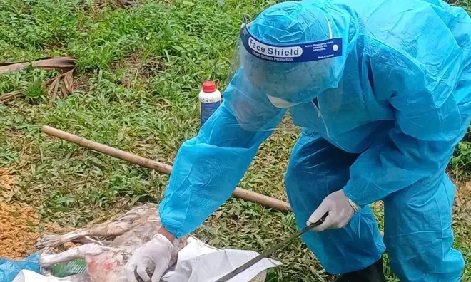 Đau lòng 3 người dân bị chó dại tuột xích cắn thương tích