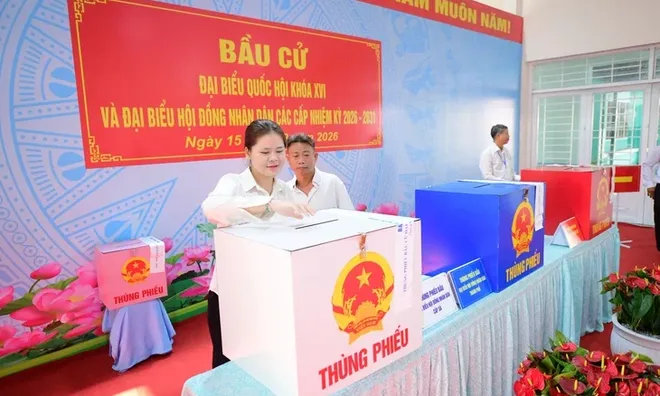 Chính thức công bố kết quả bầu cử, danh sách người trúng cử đại biểu Quốc hội và HĐND các cấp năm 2026 chậm nhất bao nhiêu ngày?