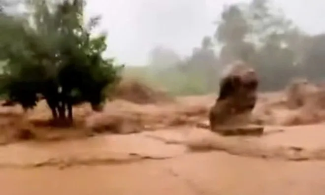 Clip: Lũ quét ập xuống bất ngờ, cuốn phăng cây cối, hoa màu tan hoang ở Khánh Hòa