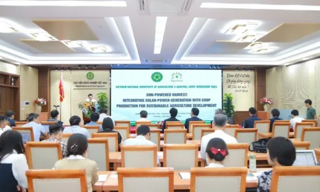 Khai thác hiệu quả năng lượng mặt trời: Kết hợp sản xuất điện mặt trời trong sản xuất cây trồng để phát triển nông ngiệp bền vững