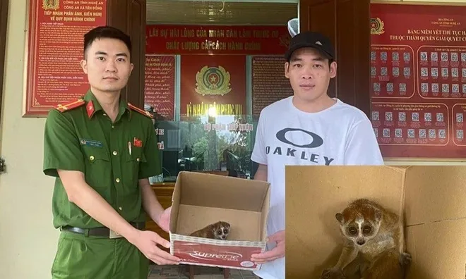 Đêm bão ở Nghệ An, người đàn ông phát hiện con vật mắt to lạ lẫm chui vào nhà, hành động sau đó khiến ai cũng khen ngợi