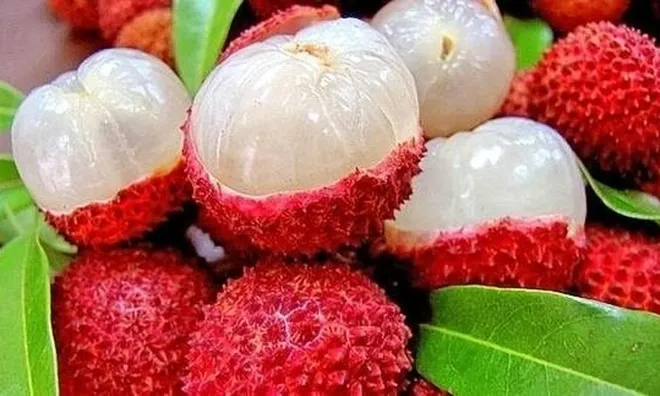 Tưởng ăn trái cây càng nhiều càng tốt, hóa ra có 5 loại quả khiến mỡ bụng khó giảm